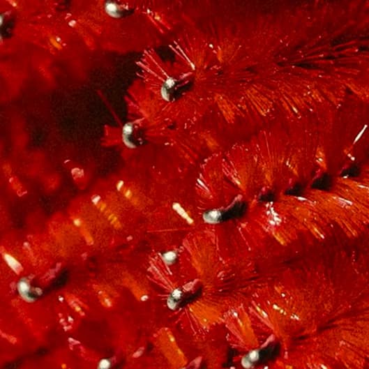 The Essential Brow Membership at Carly Artistry in Addison, TX